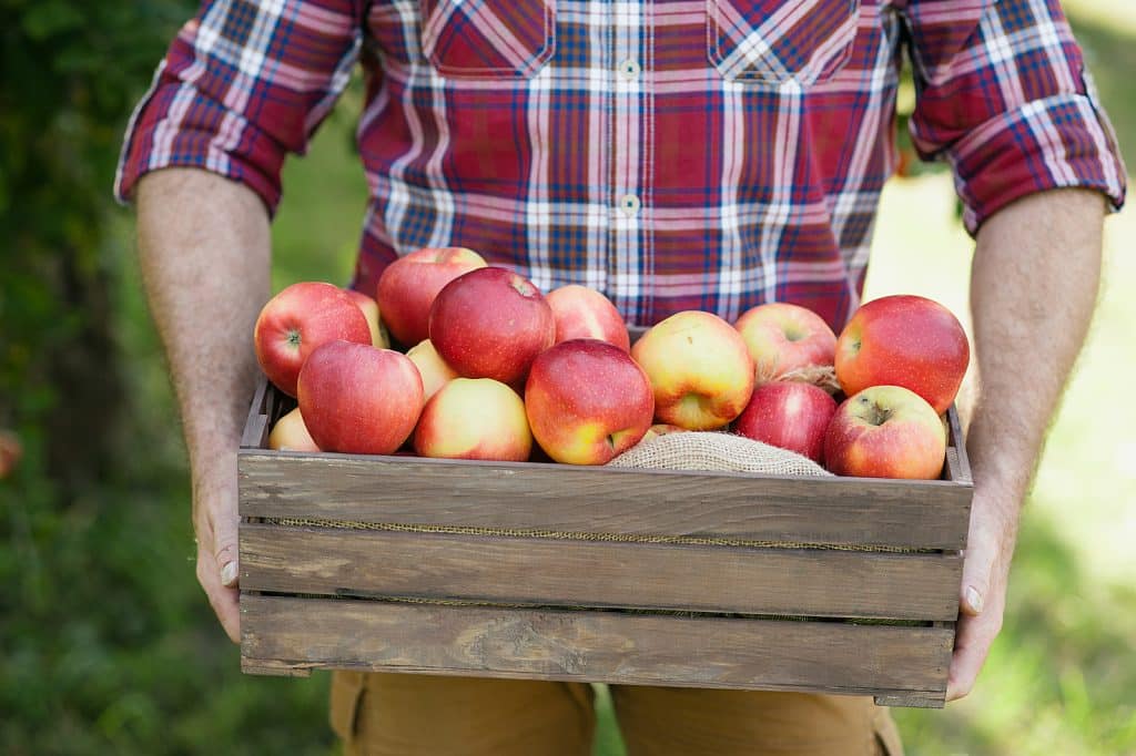 Elegant Concierge Services Recommends East Coast Fall Festivals 4